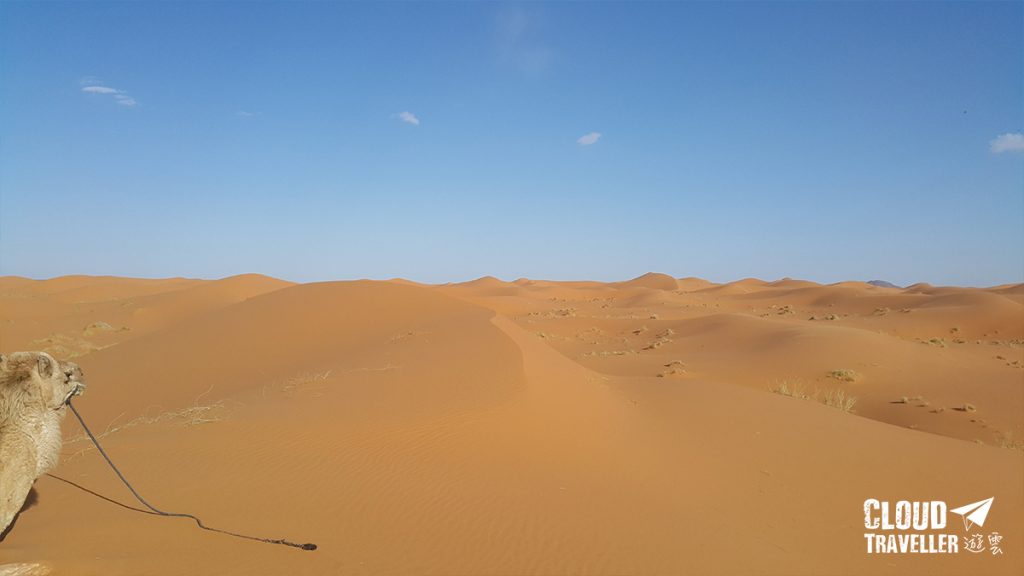 sahara2